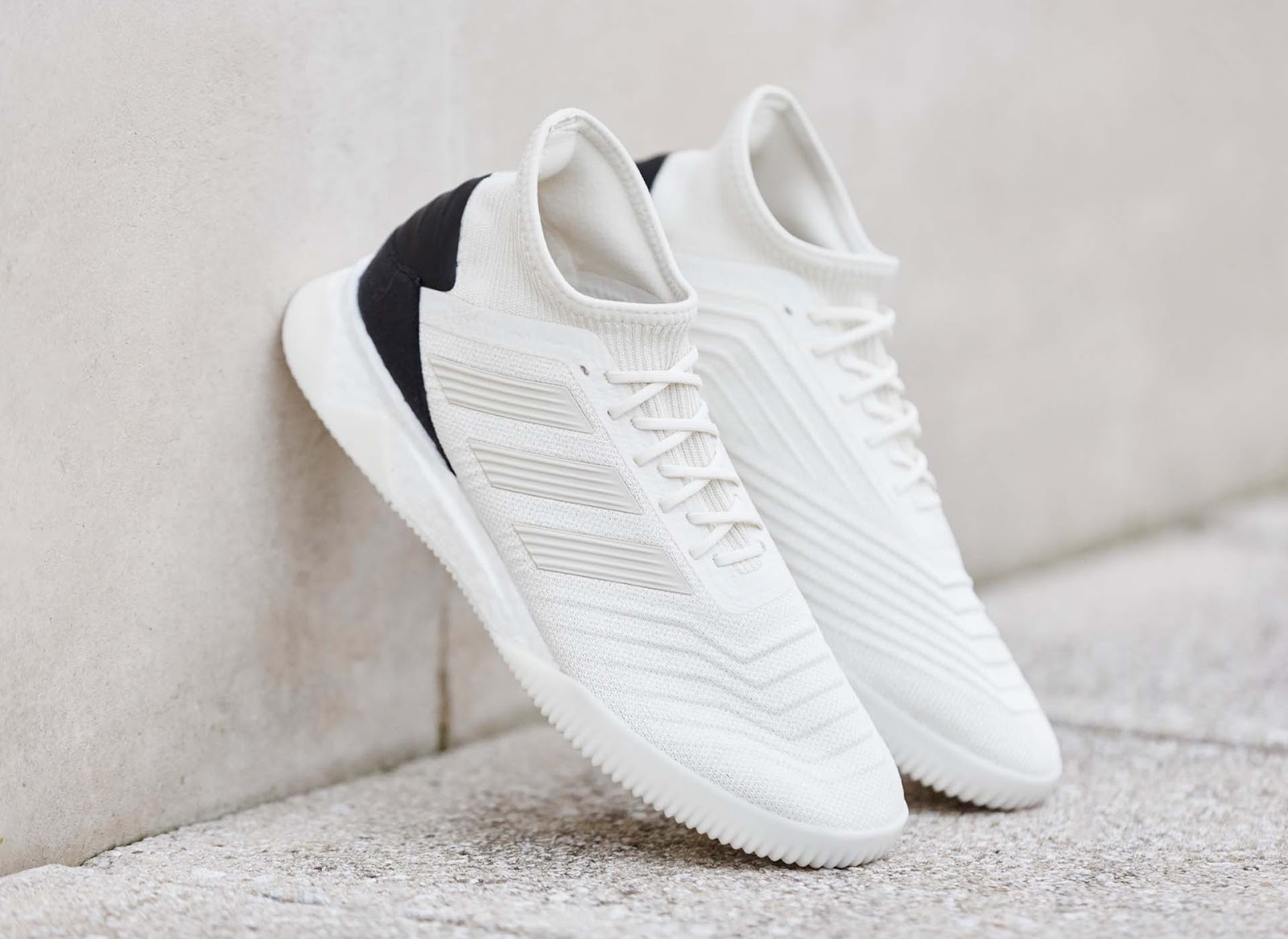 Predator tango 19.1 2024 tr